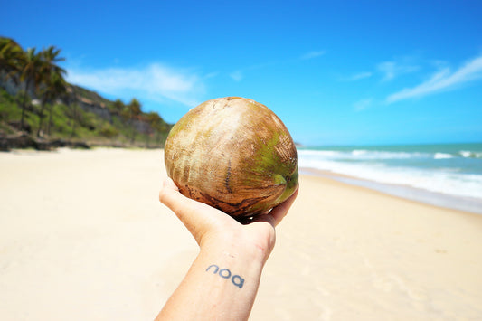The Truth About the Coconut Craze