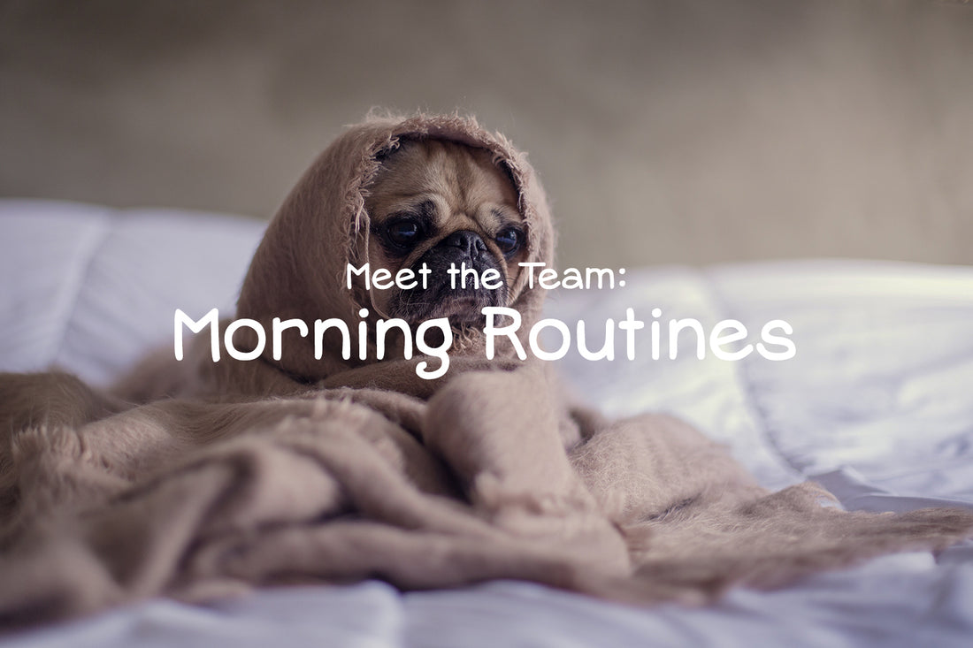 Meet the Team: Tried and True Morning Routines